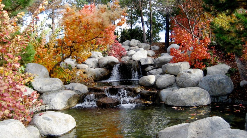 Autumn Boulder Creek 230629