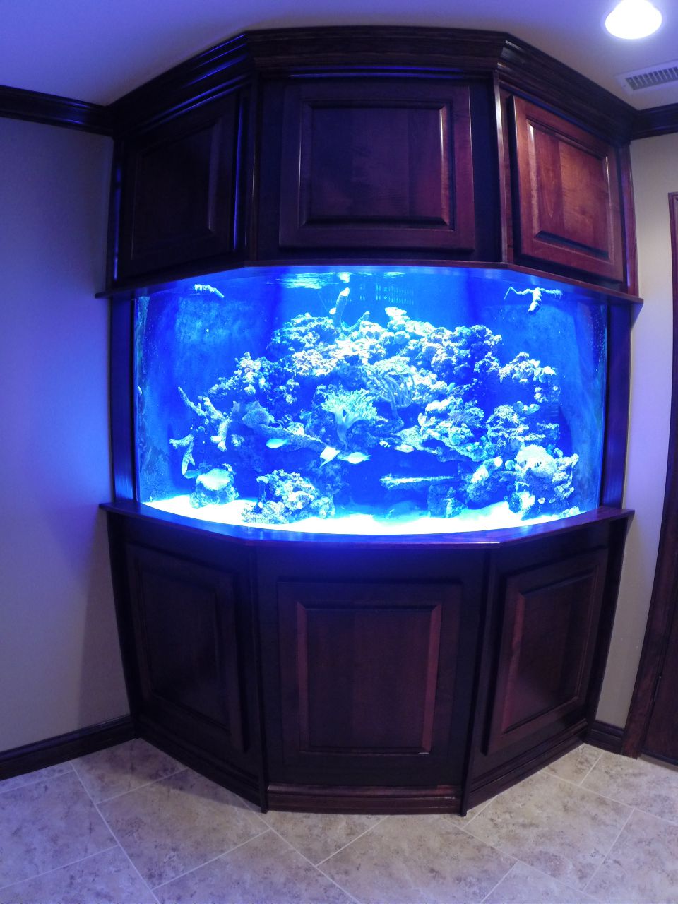 aquarium 32