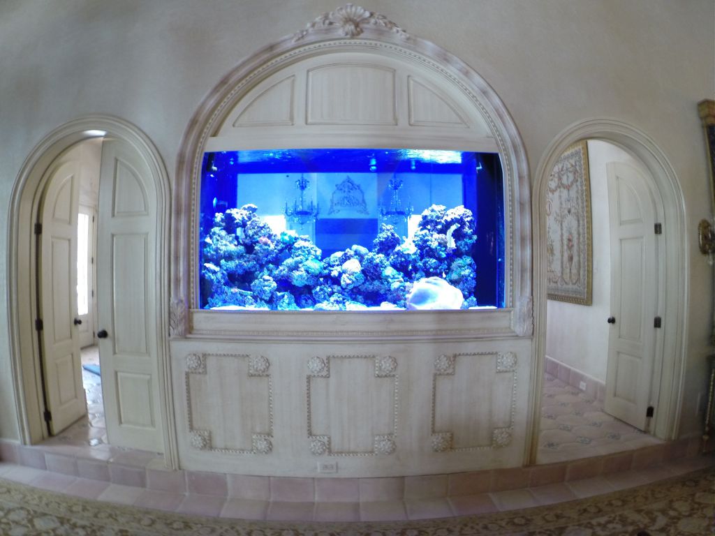 aquarium 36
