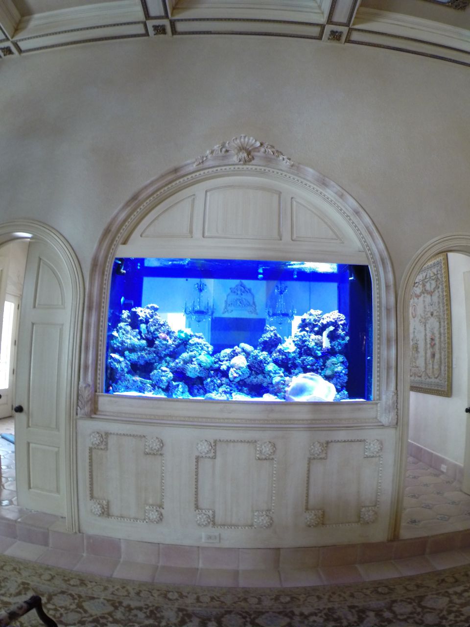 aquarium 42
