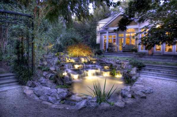 Backyard Pond